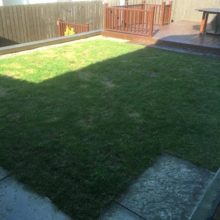 Inverness Case Study Gallery (2)